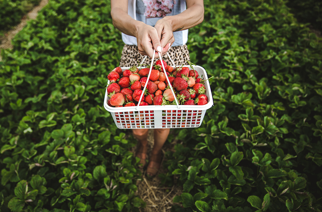 curved file for steel factory