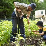 well pet canned dog food supplier