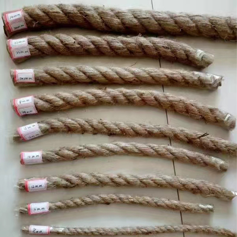 Wholesale Rounded Raspberry Products for Exceptional Quality and Delicious Flavor