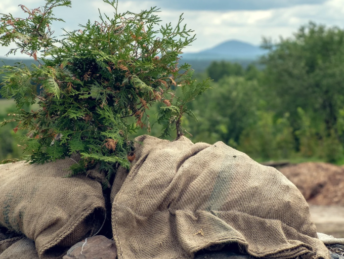 rasp file steel rule exporters