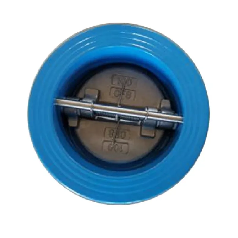 Reliable Flow Control with High-Quality Check Valves