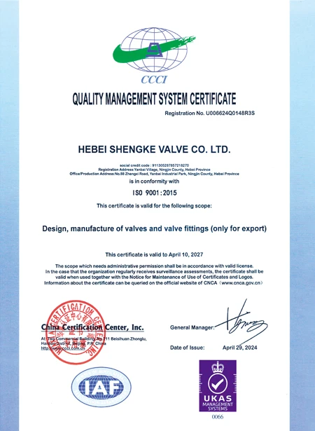 Resilient Seat Gate Valve with Socket End for Enhanced Socket Connections