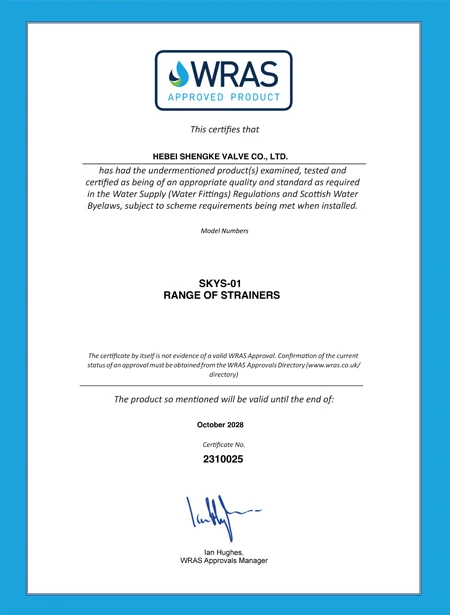 Y-Style Strainer for Enhanced Filtration Efficiency and Versatile Applications