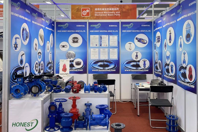 double plate check valve