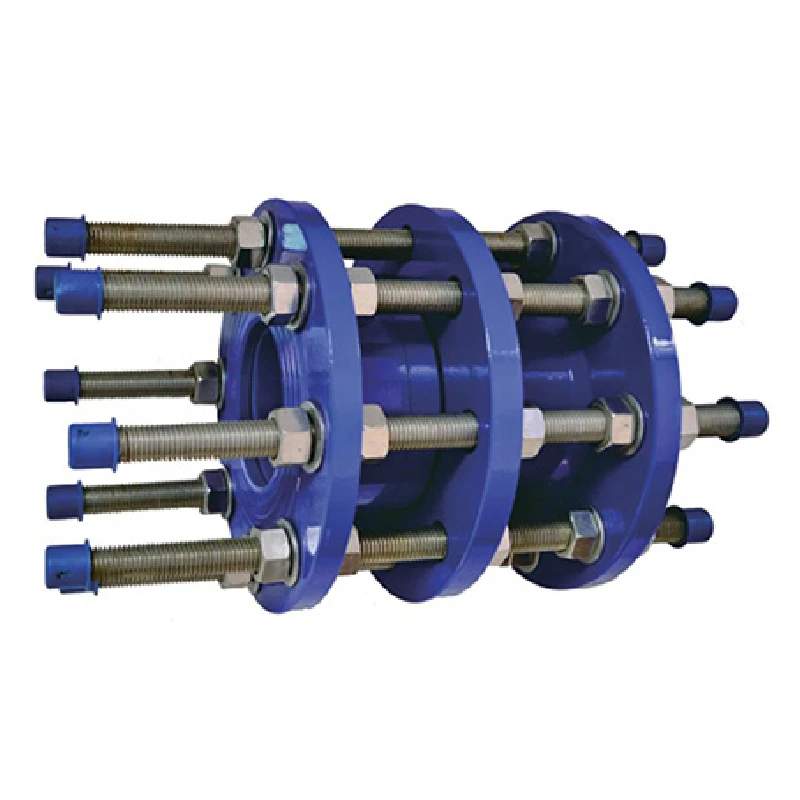 double swing check valve