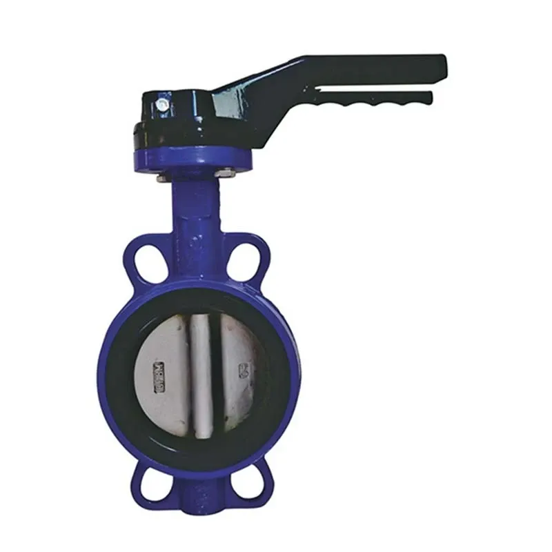 cast iron valve