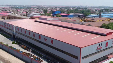 wafer style check valve