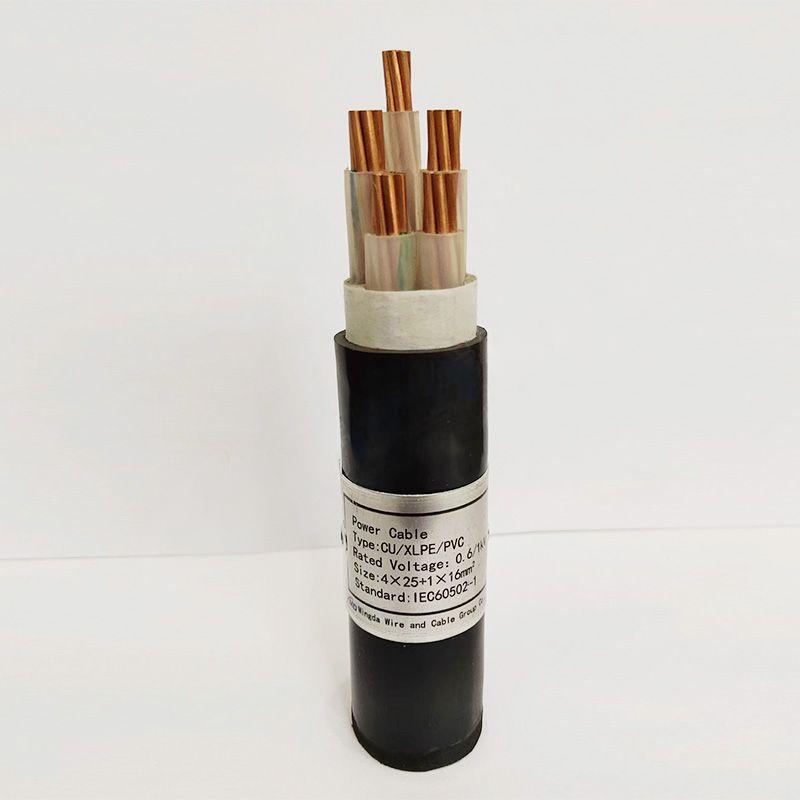 MSS Standard for Swing Check Valve Specifications and Installation Guidelines