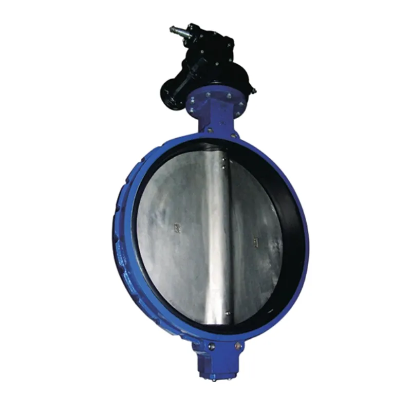 double plate check valve