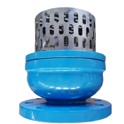 Essential Foot Valves for Efficient Water Flow Control