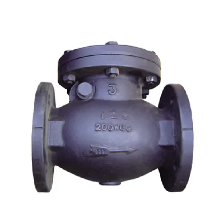 Exploring Advanced Check Valve Solutions