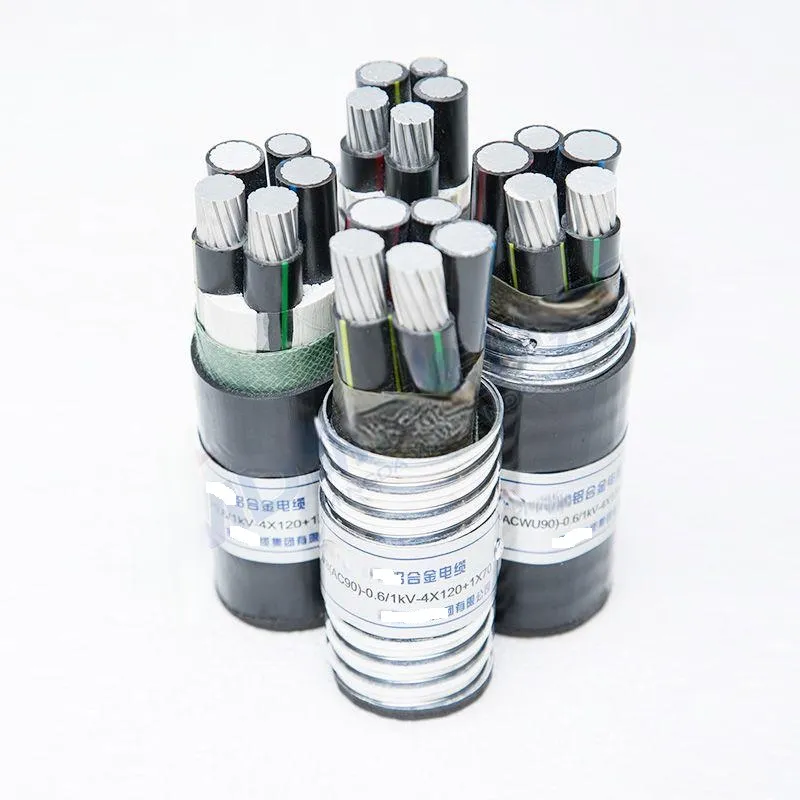 2 pin power cord types