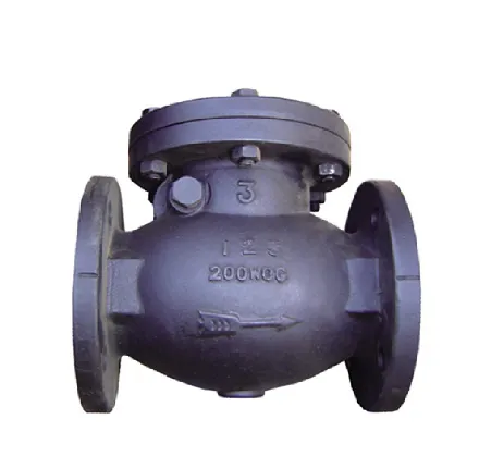 Swing Check Valves: Essential for Reliable Flow Control
