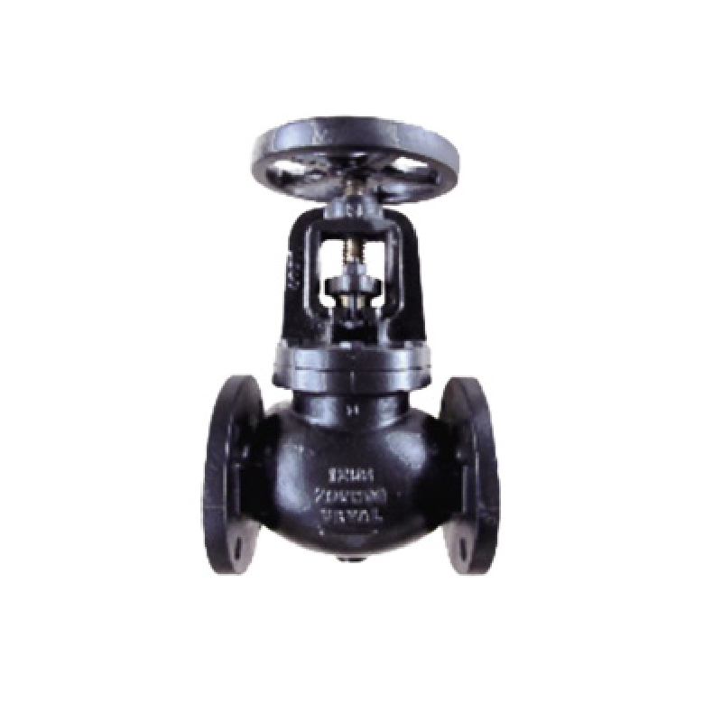 Angle Globe Valves: Leak-Tight, Durable, Automation-Ready