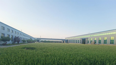 Understanding the Function and Applications of Industrial Check Valves in Fluid Systems