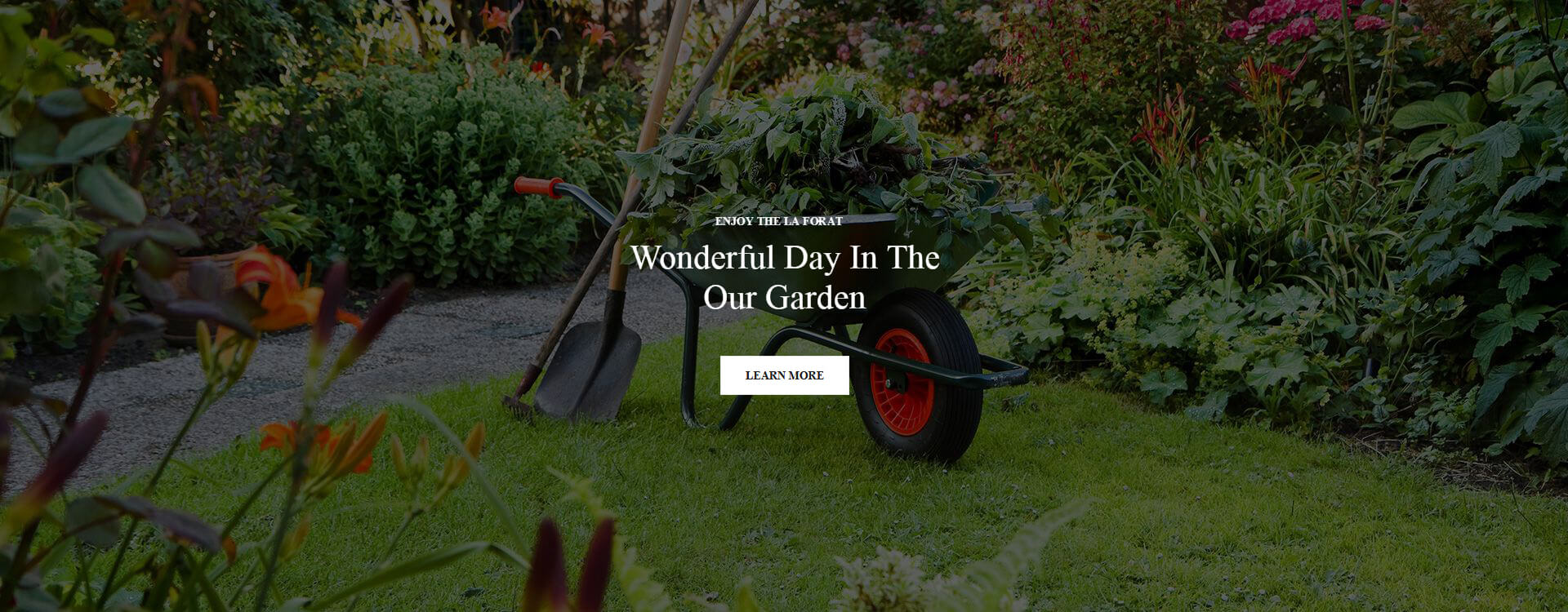 Bienvenue sur notre site - Découvrez nos services uniques