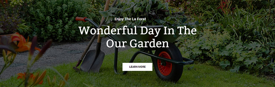 wafer type butterfly valve dimension