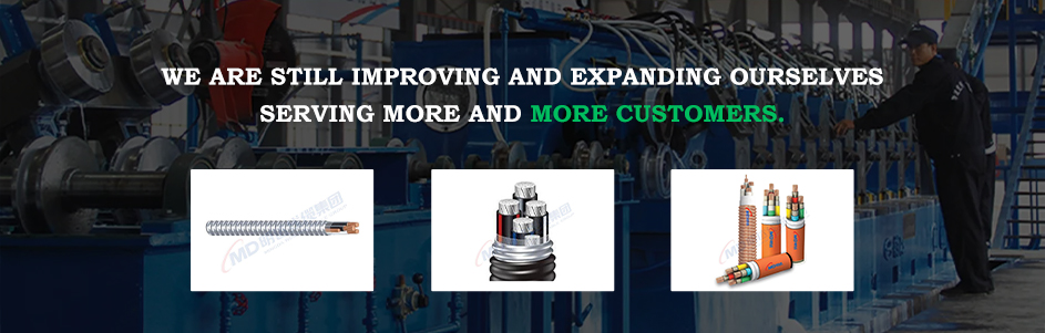 Evaluation of Silent Wafer Check Valve Performance and Application in Fluid Systems