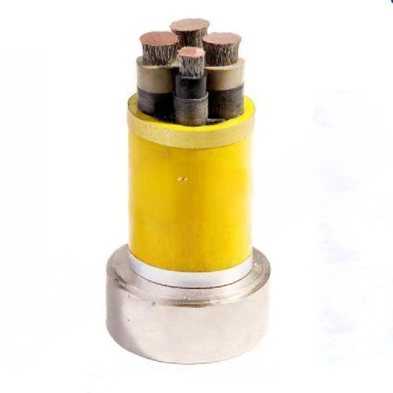 bronze swing check valve