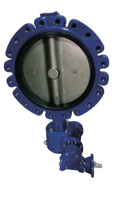 Understanding the Features and Benefits of PN16 Check Valves in Applications