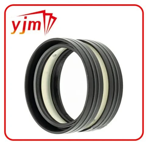 Everything You Need to Know About Crank Oil Seals and Related Costs