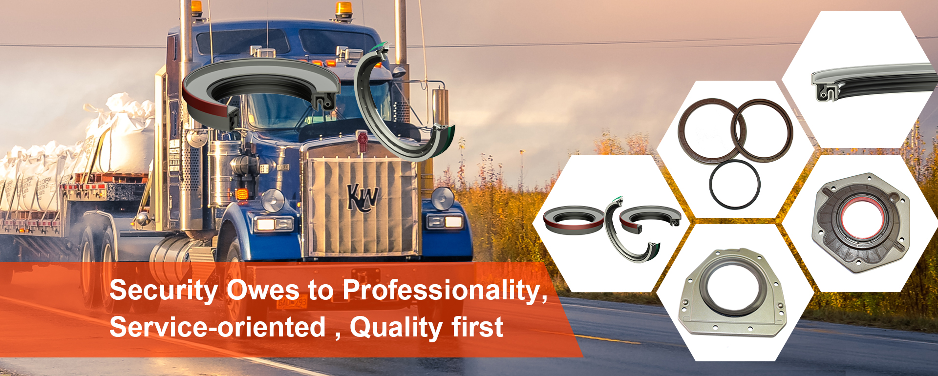 rotary shaft lip seal