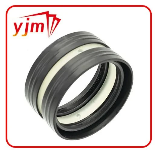 Unlocking Excellence in Automotive Oil Seals