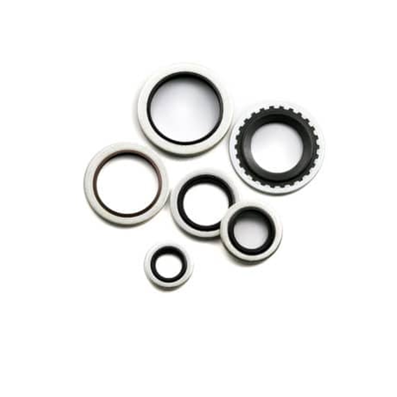 Bonded Seals (Dowty Seals)