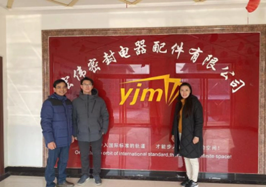 crankshaft pulley seal