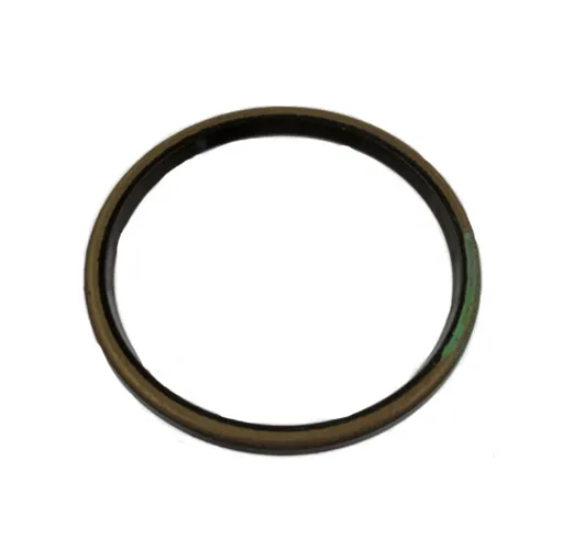 The World of Seal Rings