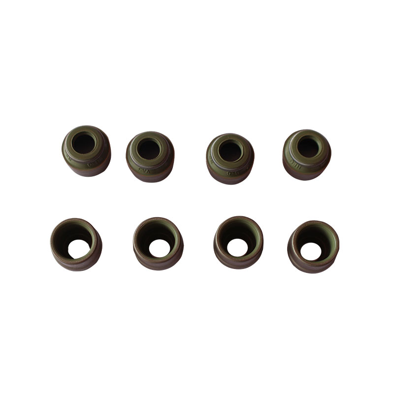 GS1719DL Oil Seal Replacement and Maintenance Guide for Optimal Performance