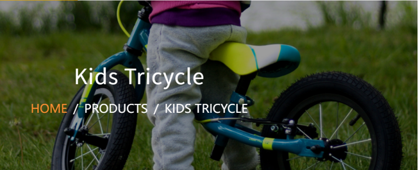 Xingtai's Twin Tricycle Revolution: Siblings Ride Together