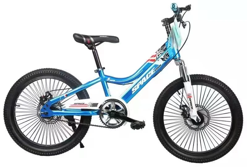 China Direct Factory Oem 20 Inch Kids Mountain Bike Children Bicycle Kids Bike Gift Disc Brake Mtb Sport Style