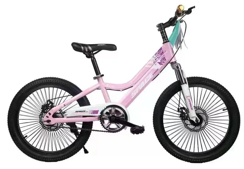 China Direct Factory OEM 20 Inch Kids MTB, Disc Brake