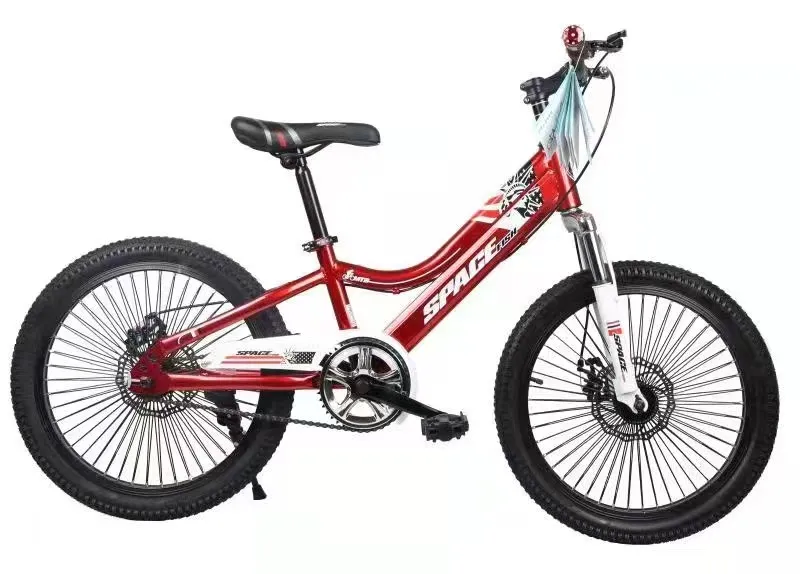 China Direct Factory OEM 20 Inch Kids MTB, Disc Brake