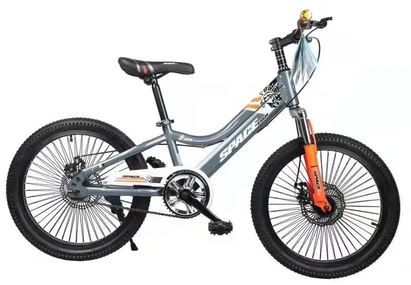 China Direct Factory OEM 20 Inch Kids MTB, Disc Brake