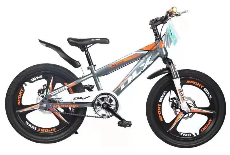 Choosing the Perfect Bike for Your Little Adventurer