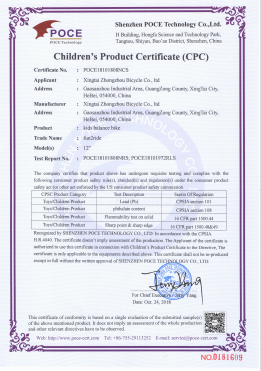 Exploring the Thrills of Intense Mountain Biking Adventures and Experiences Exploring the Thrills of Intense Mountain Biking Adventures and Experiences