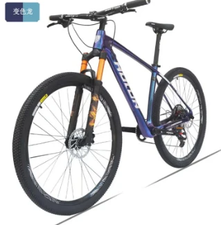 Expert-Level Single Speed Mountain Bike for Trail Riders