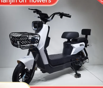 Fully Electric Bikes Urban Mobility Zero Emission Power