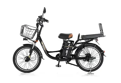 Electric bicycle