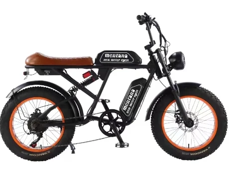 Ride Into the Future: The Ultimate Electric Bike Experience