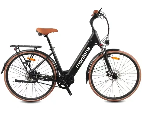 Electric Bikes for All: Comfort, Convenience, and Style