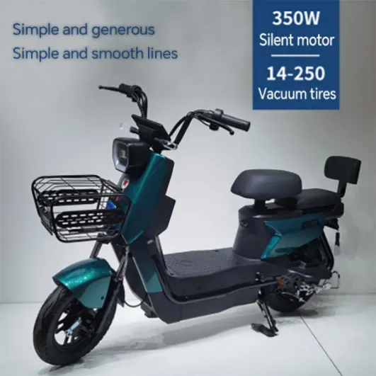 Fully Electric Bikes Urban Mobility Zero Emission Power