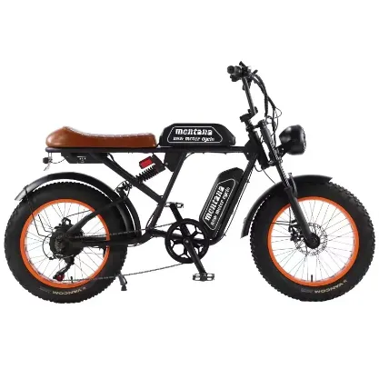Global Market-Driven Premium Electric Bicycle Solutions