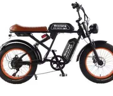 How to Choose the Best Electric Bicycle for Your Needs