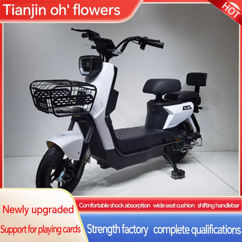 1000w electric bike