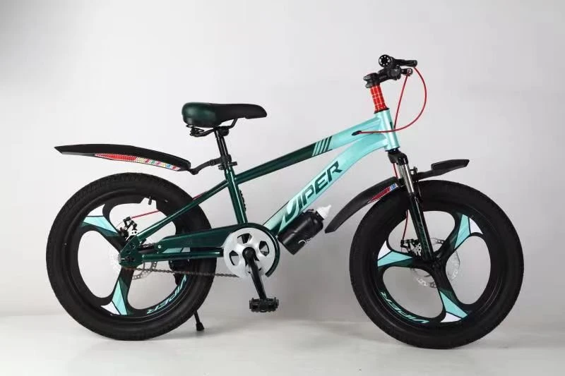 bike ev