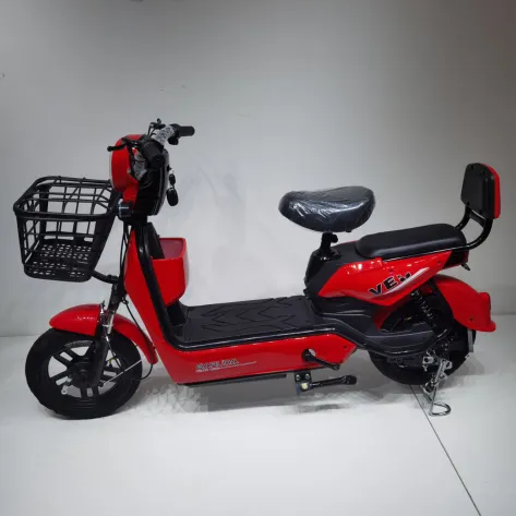 Destination for Electric Bikes The E Bike Store