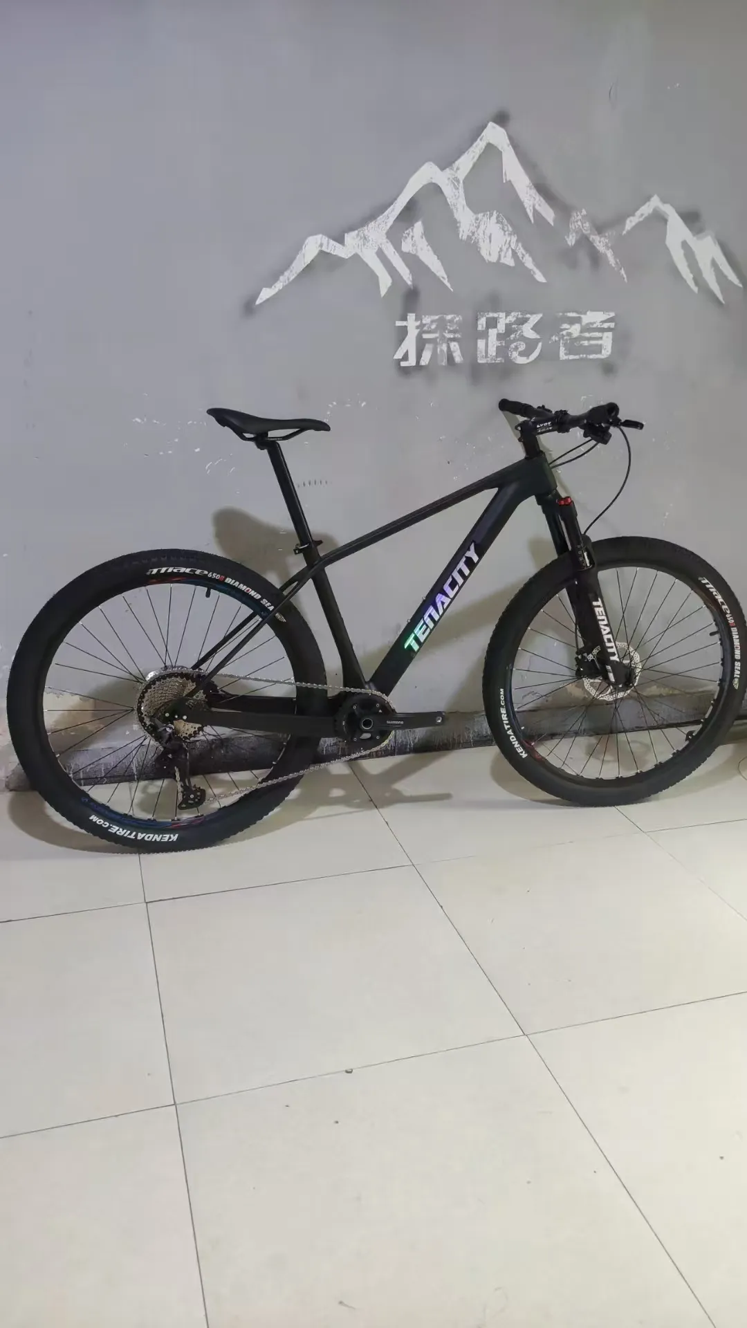 The Role of Mountain Bikes in Improving Children's Physical Fitness